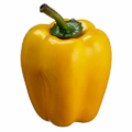 4.7 Inch Weighted Faux Bell Pepper Yellow
