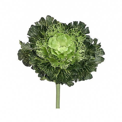 11 Inch Japanese Silk Cabbage Spray Green