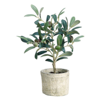 12 Inch Silk Olive Tree in Clay Pot