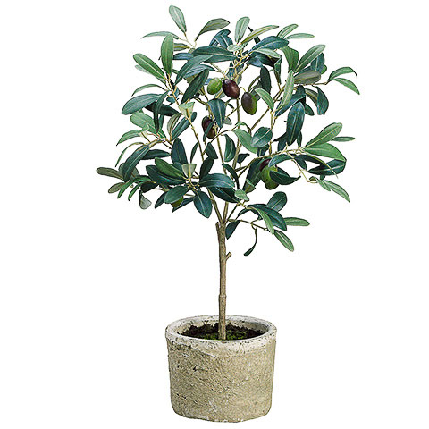 19.5 Inch Silk Olive Tree in Clay Pot