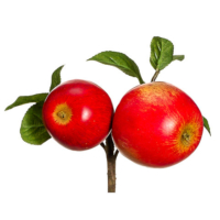 8 Inch Faux Apple Pick Red