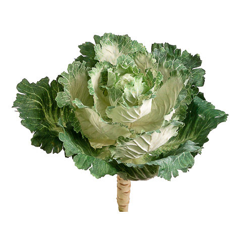 11.5 Inch Ornamental Faux Cabbage Cream Green