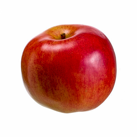 3.9 Inch Foam Weighted Artificial Apple Red