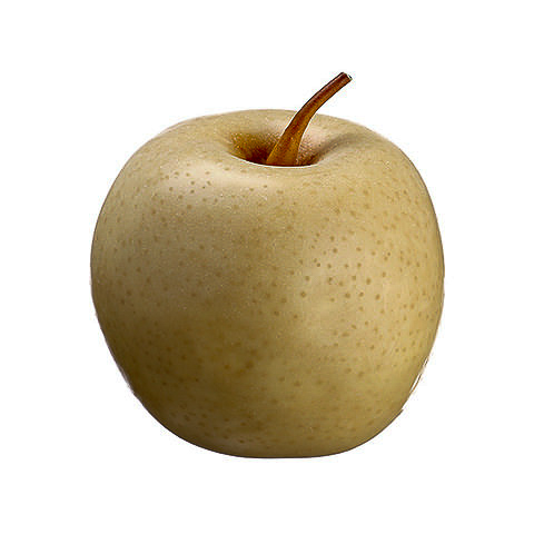 2.9 Inch Weighted Faux Apple Yellow