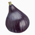 3.25 Inch Weighted Artificial Fig Eggplant