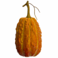 9 Inch Weighted Faux Gourd Orange