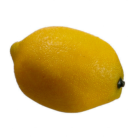 2.7 Inch Weighted Artificial Lemon