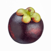 2.5 Inch Artificial Weighted Mangosteen