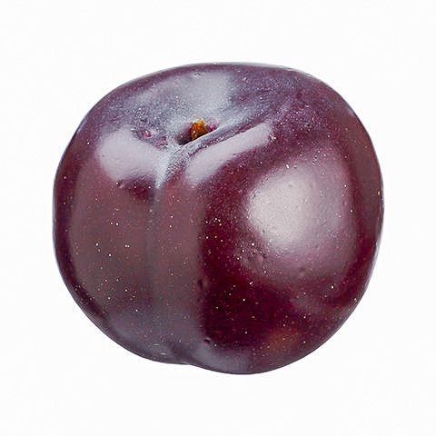 2 Inch Weighted Faux Plum Burgundy