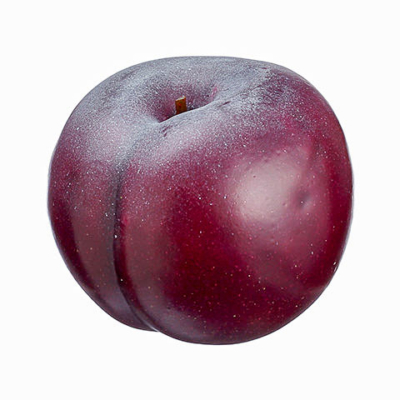 mountwatcher by plum amazing