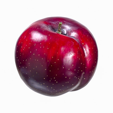 2 Inch Weighted Artificial Plum Red Burgundy - Amazing Produce