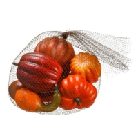 Assorted Artificial Pumpkin Gourd in Bag Orange Brick (8 Per/Bag)
