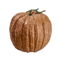 12 Inch Weighted Faux Pumpkin Brown