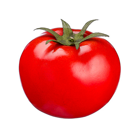 2.55 Inch Weighted Artificial Tomato
