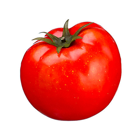 3.15 Inch Weighted Artificial Tomato