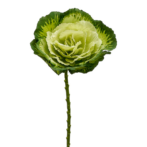 19 Inch Silk Cabbage Spray Green