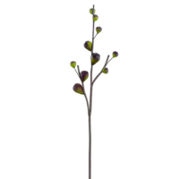 30 Inch Artificial Fig Branch Plum Green