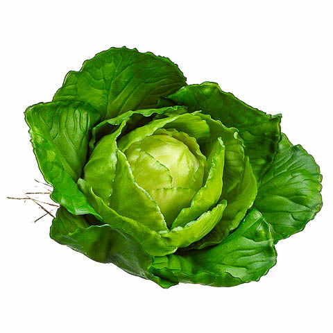 4 Inch Baby Fake Cabbage Green