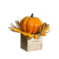 6.5 Inch Fake Pumpkin Rosehip in Wood Box Orange